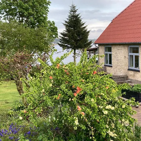 Bed & Breakfast Bogebjerggard