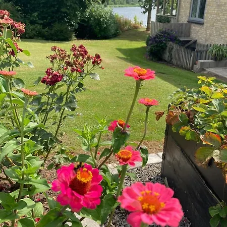 Bed & Breakfast Bogebjerggard *