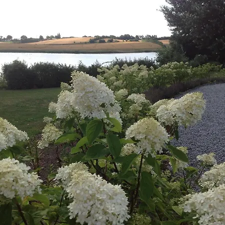 Bed & Breakfast Bogebjerggard